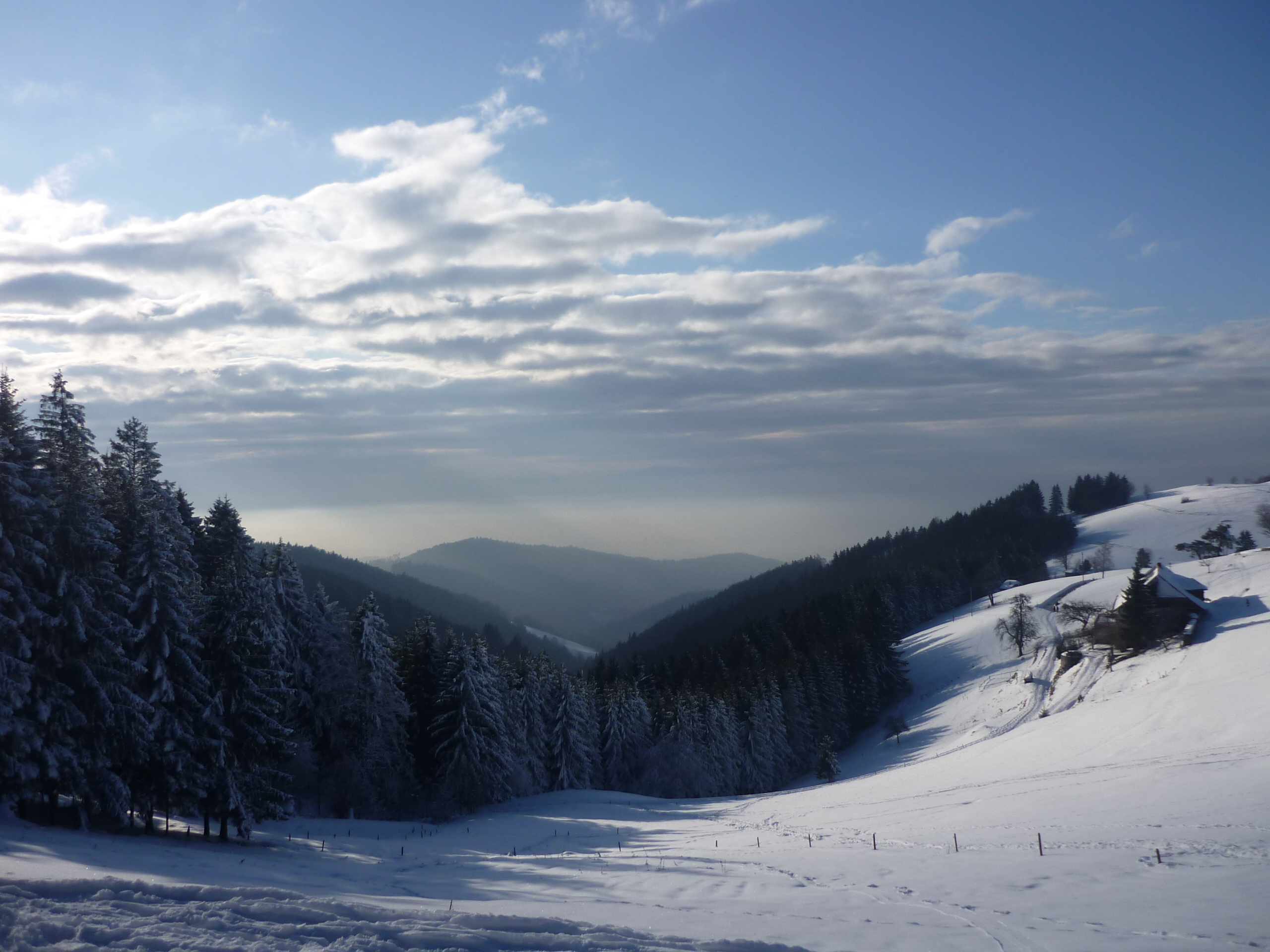 nieve