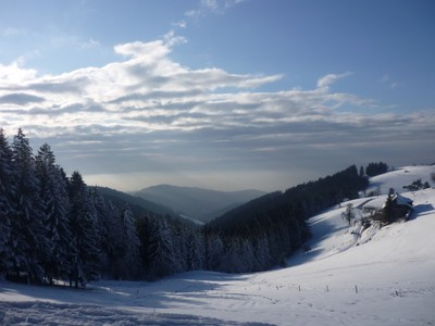 nieve